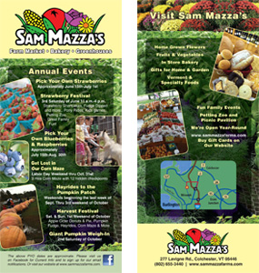 Sam Mazza's Events Rack Card